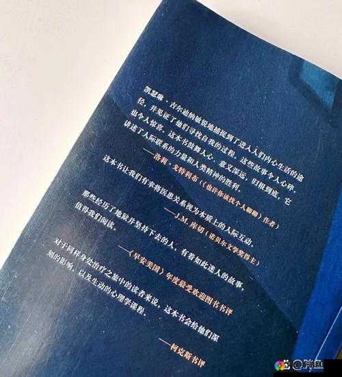 黑暗正能量：探索人性的黑暗与光明