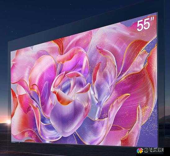蜜桃视频 55.com：带你领略精彩无限的视听盛宴