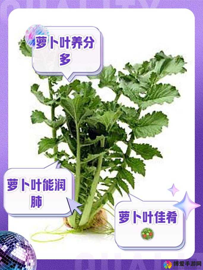 萝卜又叫黄9·1：关于它的详细介绍与独特之处