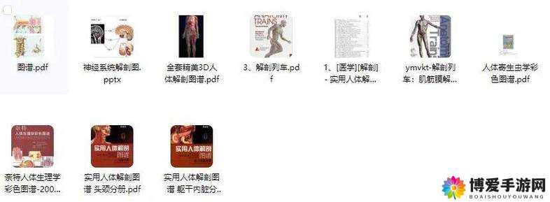 探索体内 精 69XXXXXx 软件的奥秘：从生理到心理的全面解析