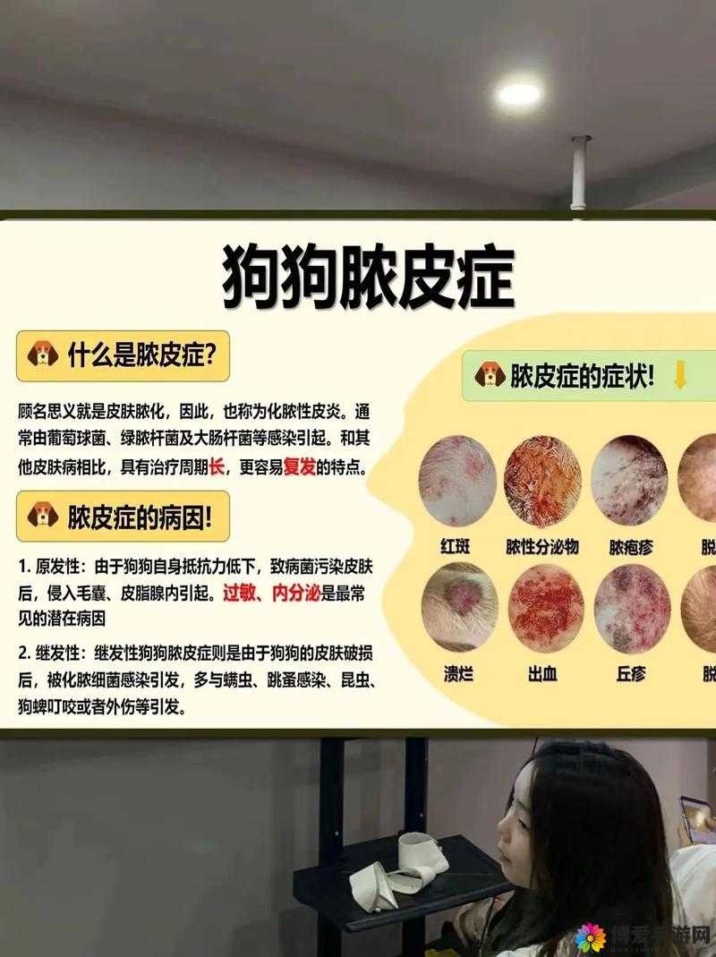 人狗胶配方大全狗狗播放：探寻宠物与人类的奇妙关联
