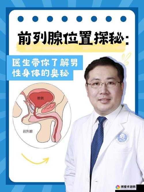 男生嗟嗟嗟很痛无马：探索男性身体与性健康的奥秘
