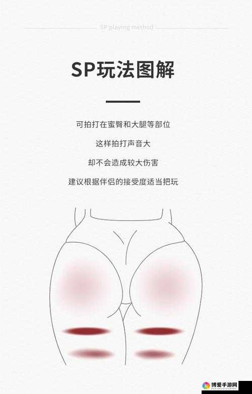 SP 的标准惩罚是什么：深入探究其具体内容与影响