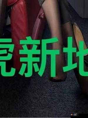 四虎海外网 2024：展望未来，探索未知
