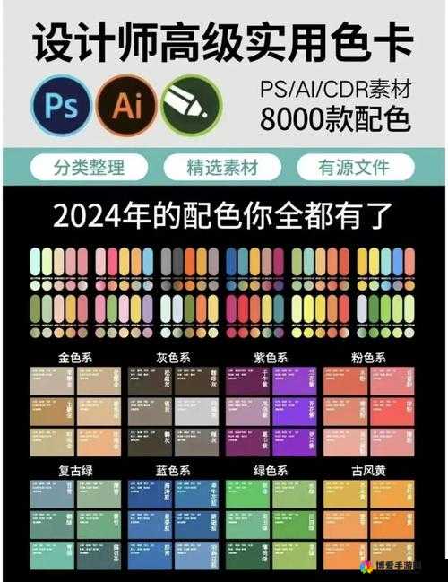 色卡网站：发现色彩世界的精彩宝库