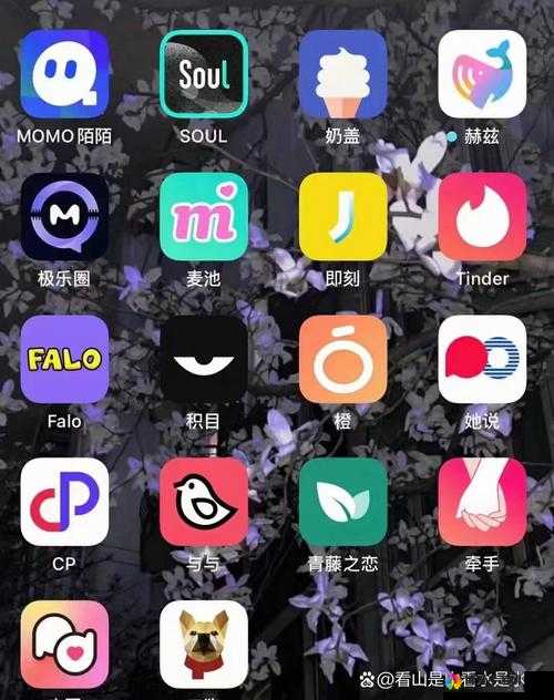 约会软件免费的有哪些：全面解析各类免费约会软件