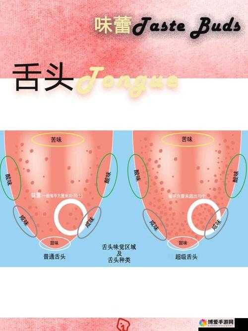 舌头缓缓地一点一点向里深入探寻的奇妙之旅