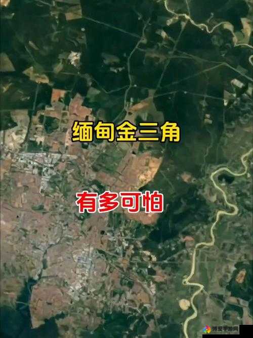 魅狐直播色网：一个充满诱惑和危险的网络世界