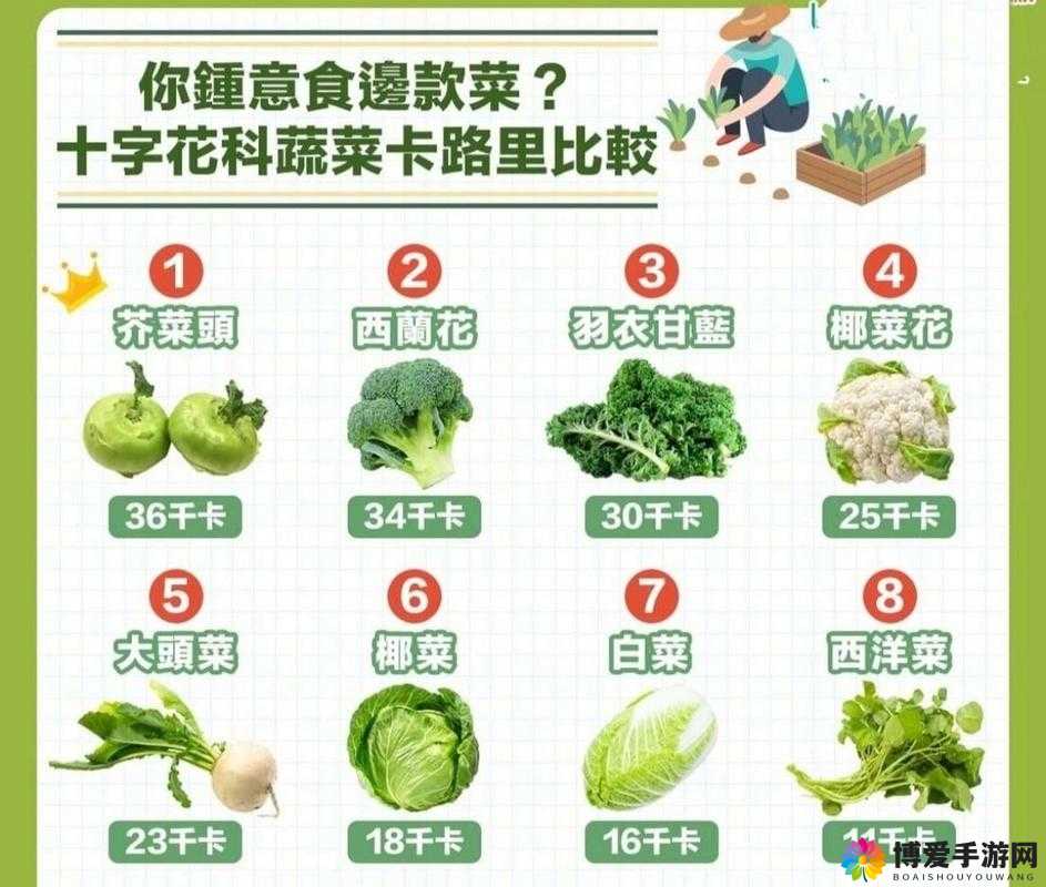 燃烧的蔬菜3椰菜花花解析 椰菜花花图鉴