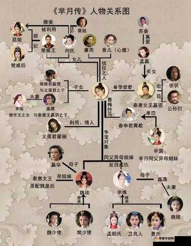 大秦芈月传世界组成