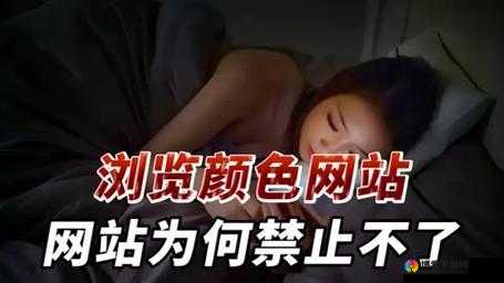 璜铯视频免费网站：探索无限激情，尽在其中