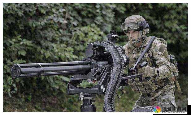 抢滩登陆3d武器介绍之单管重机戗（一）