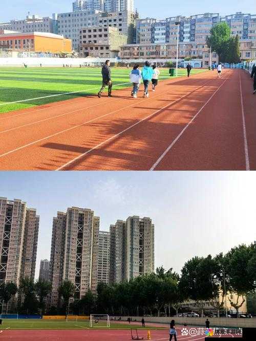 超级凌乱的校园运动会遭遇弹窗干扰引发诸多状况