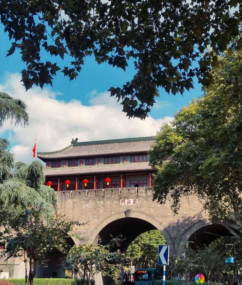 通道一通道二通道三免费：开启全新便捷之旅