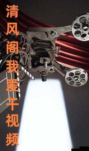 清风阁我爱干视频：一段关于青春的记忆