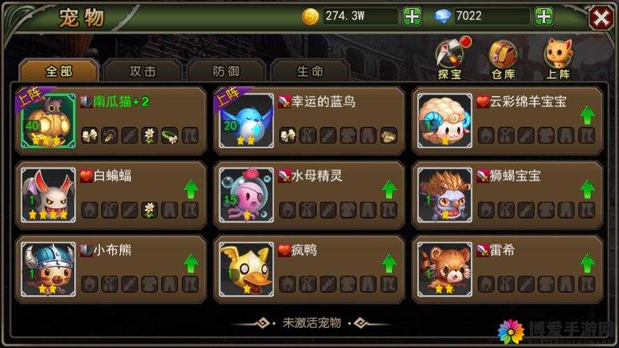 请来守护神!破晓之光宠物搭配推荐