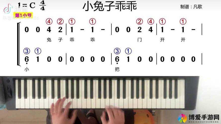 音乐老师兔子弹弹免费观看：教学与音乐的完美结合