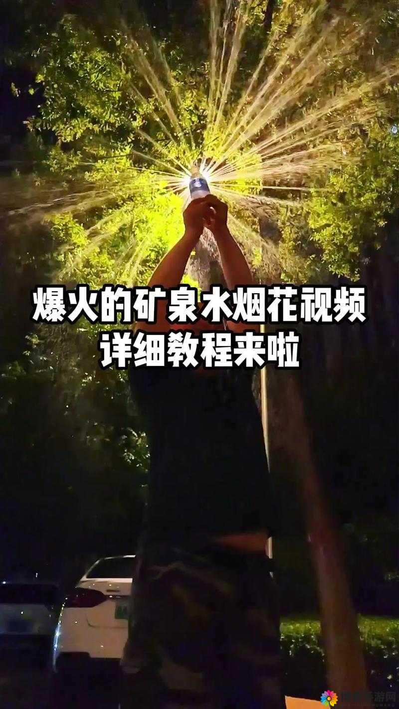 成品视频在线看怎么弄：详细步骤与注意事项全解析