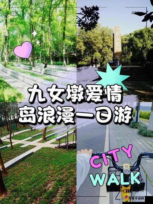 爱情岛网站：一场浪漫与激情的冒险之旅