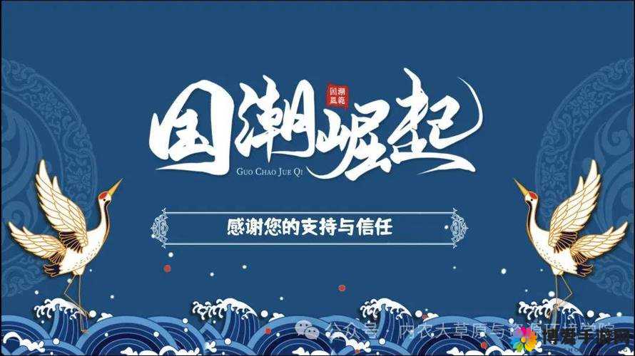 91 国潮：国货崛起的新潮流