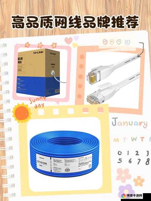 精品成品网线 1688：提供高品质网线选择