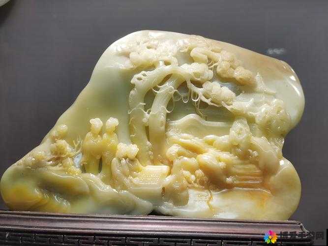 国产伦精一品二品三品：探究伦理与艺术的边界