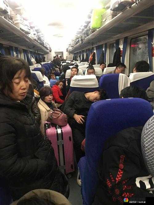 在火车上与后妈妈谁在一起：一场奇妙的旅程与情感纠葛