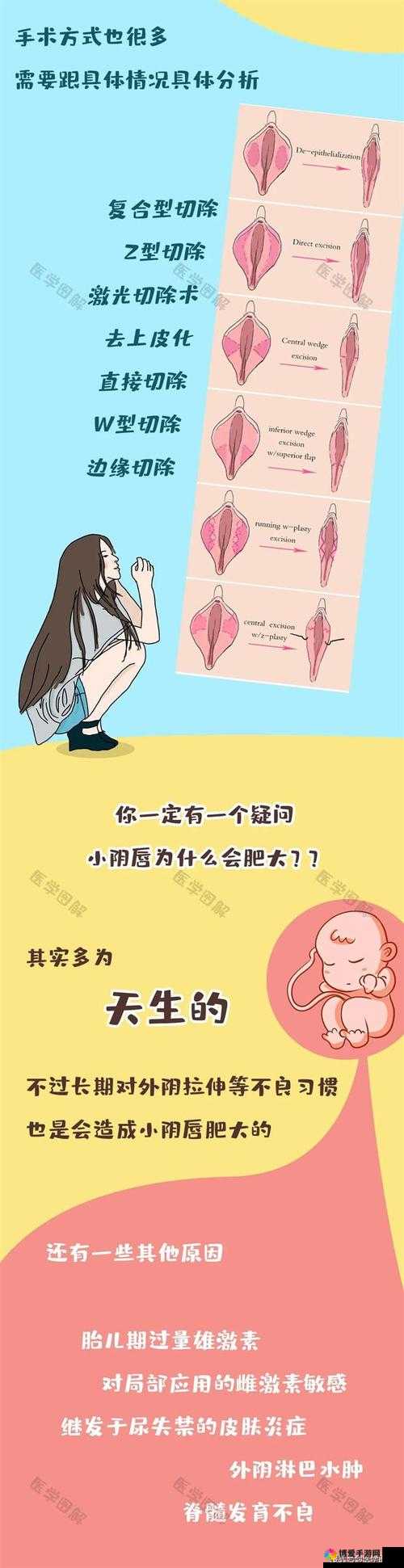 女性生殖高清特写 HD：深入探索女性生殖奥秘