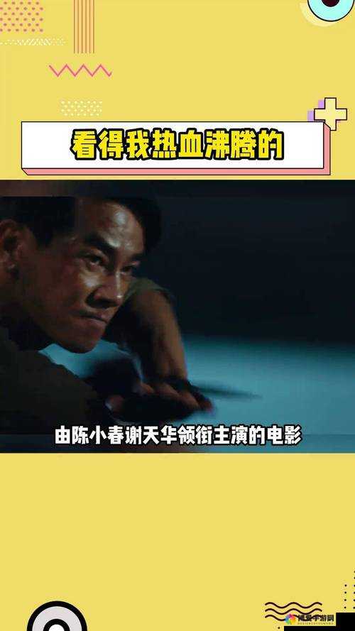 孽火（硬汉）今又：热血燃烧的传奇故事