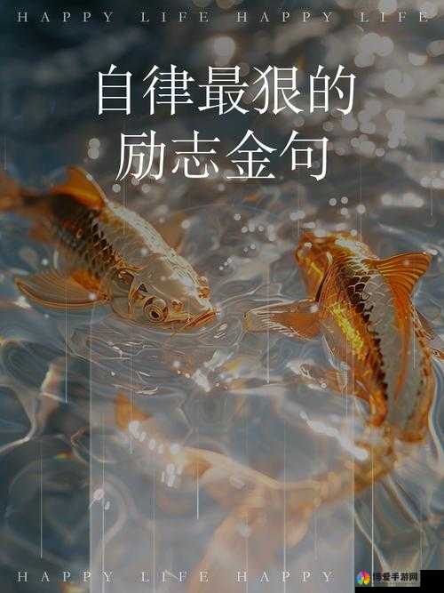 在卫生间里怎么安静自罚：探究个人成长与自律的有效途径