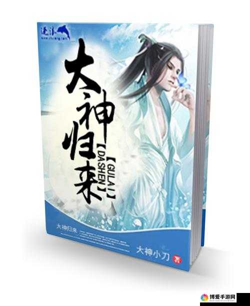 大神归来8大战斗属性的作用及其管理策略