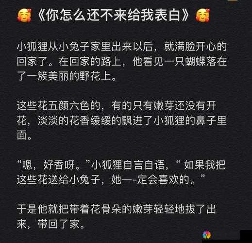 女窝 77：关于女窝 77 的神奇故事与独特魅力展现