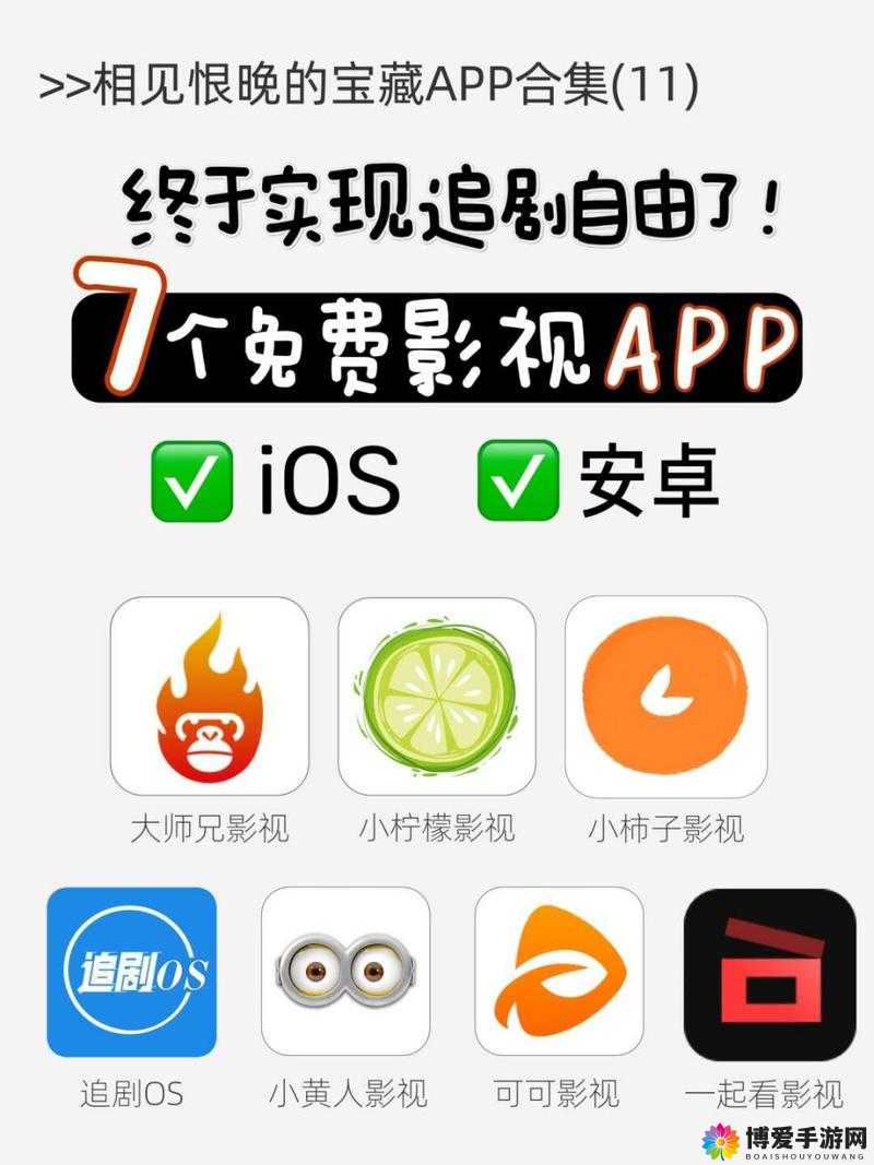 成品视频 APP 软件大全：满足你的视频娱乐需求