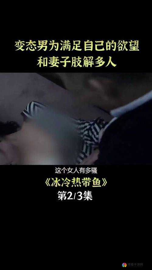 成年人电影无码日本：探索独特的视觉盛宴
