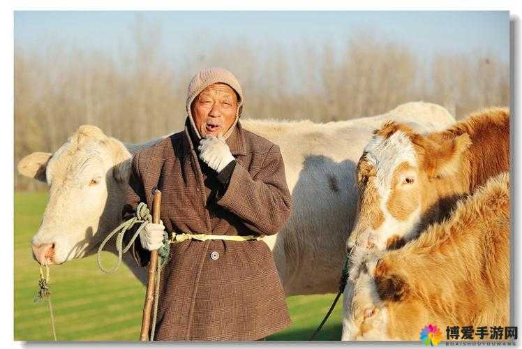 户外勾搭放牛老头：一场别样的奇妙邂逅
