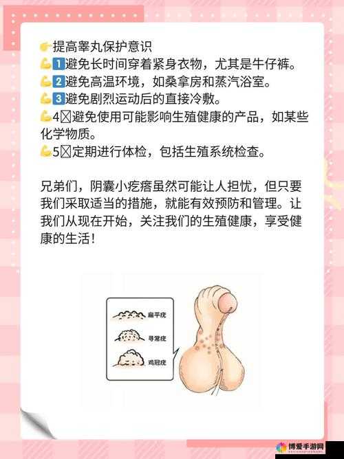 关于蛋蛋摸起来内部有疙瘩的情况探究及可能原因分析