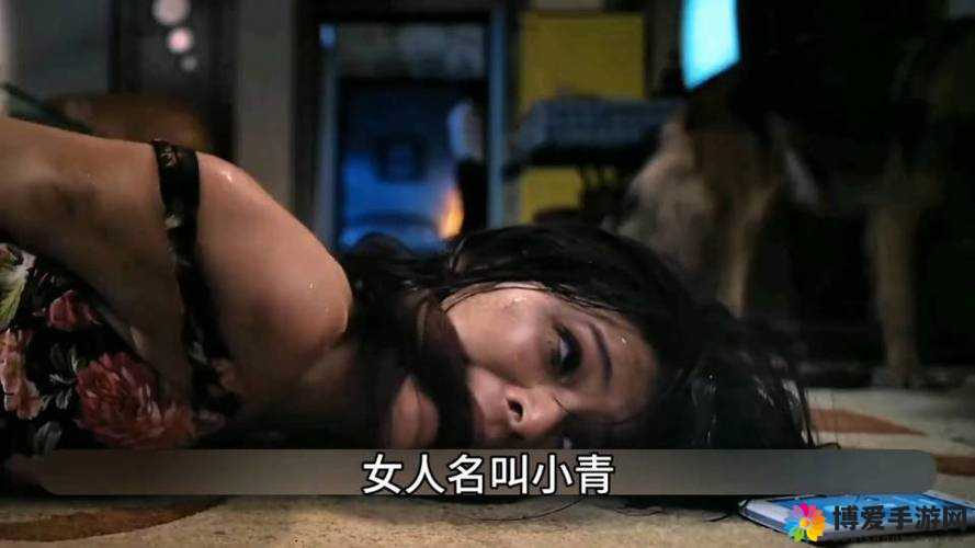国产精品国产三级国产 an：探寻国产影片的独特魅力