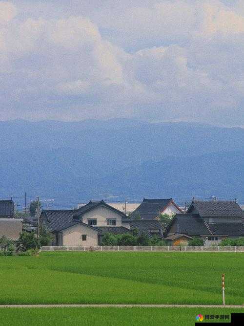 日本的慢生活：享受美好，慢点也无妨