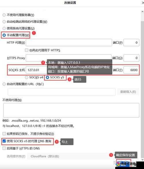 日本服务器免费 IP 地址浏览器使用注意事项及相关说明