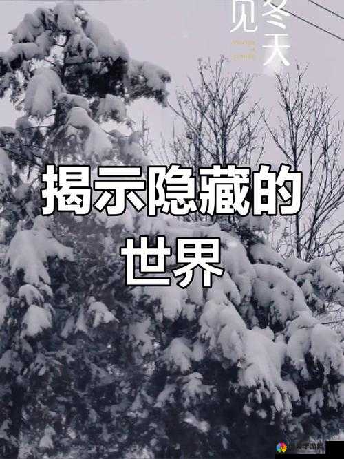 17c-ye8.8 带你探索未知的神秘领域