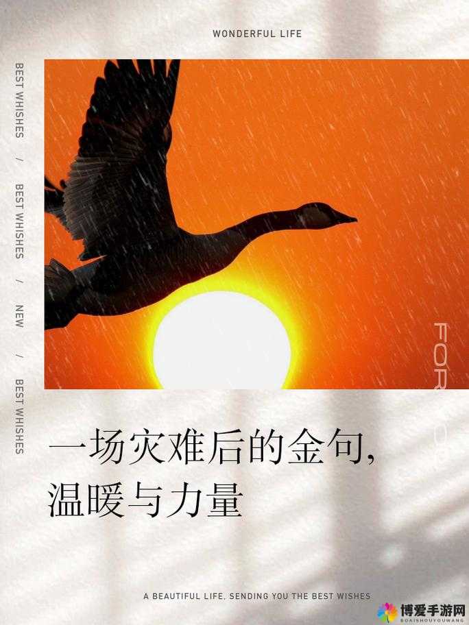 姑父有力挺送：背后支持带来的温暖与力量