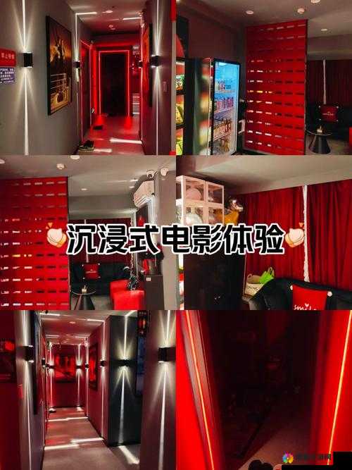探索性福草影院的完整观影体验与乐趣