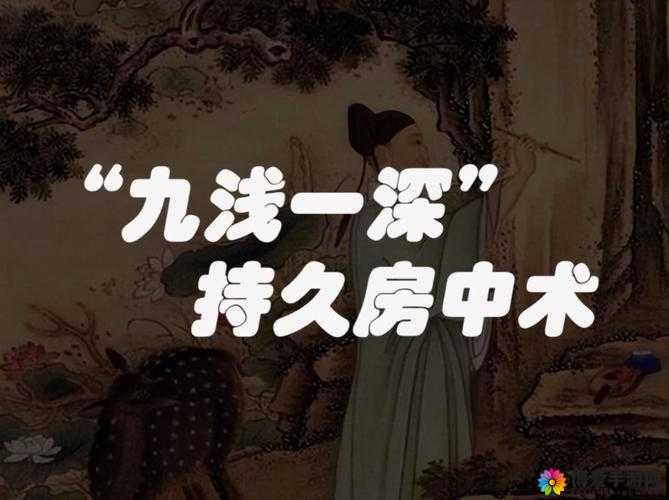 什么是 9 浅 1 深左 3 右 3 的正确解读与理解