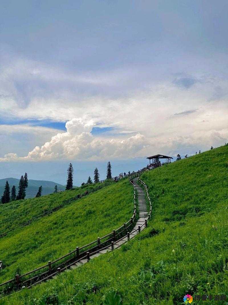 伊犁园区入口 2024：开启全新发展之旅