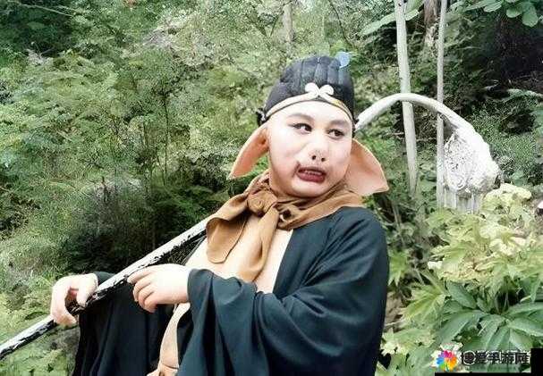 八戒八戒在线看免费，一起感受轻松愉快的视听盛宴