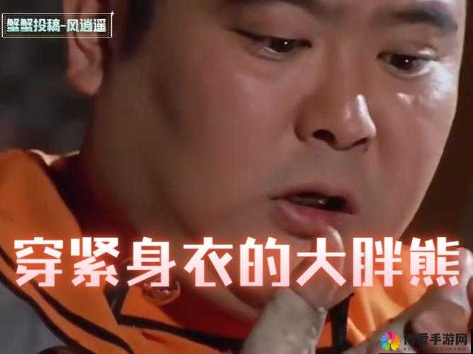 国产胖熊 gaysexchina：一段关于同志的感人故事