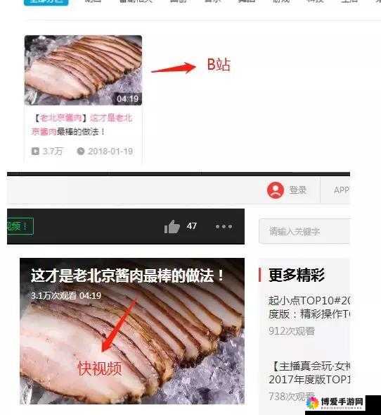 18 款禁用 B 站视频相关内容及探讨