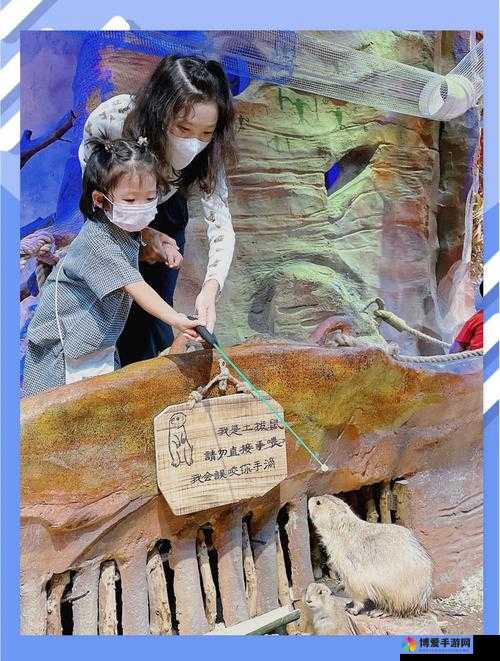 风暴部落萌宠探秘，揭秘枭兽宝宝的奇幻之旅