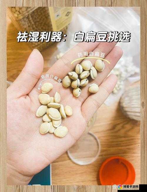 亲爱的，让你上火的图片原来是它：扁豆