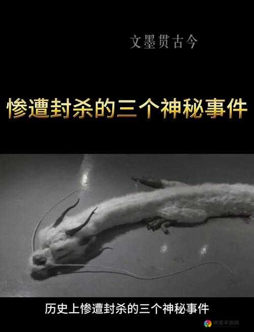 九幺事件：揭开那令人深思的过往谜团